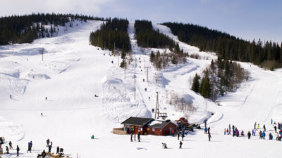 bilde fra Birkenåsen Rena Alpin og Skisenter